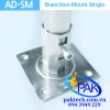 AD-SM