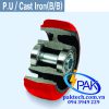 P.U_Cast Iron-B_B
