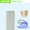 GAP-4P