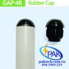 GAP-4R